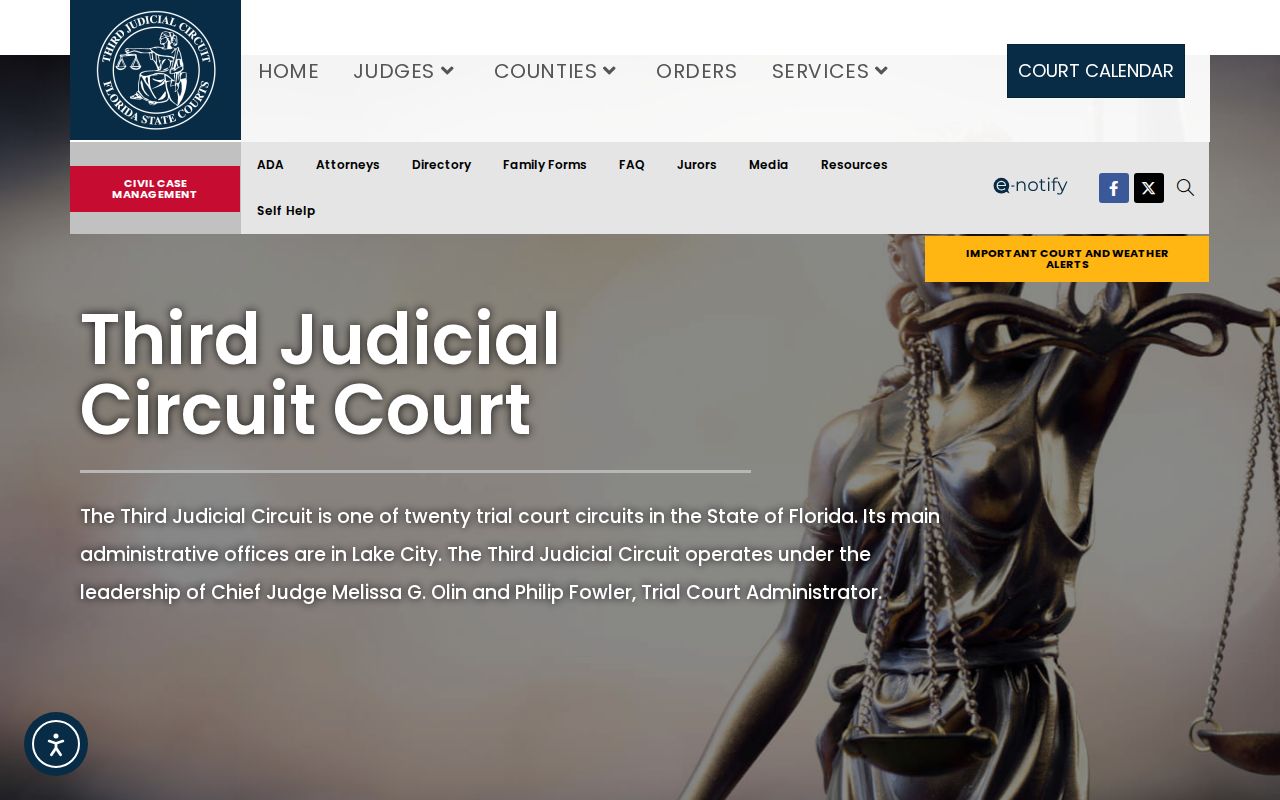Madison County criminal court cases Third Judicial Circuit